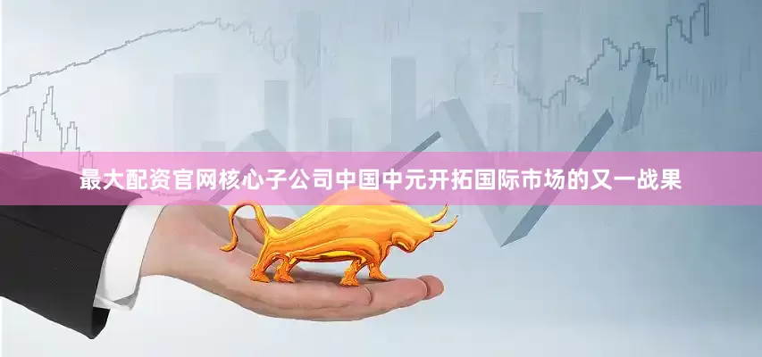 最大配资官网核心子公司中国中元开拓国际市场的又一战果